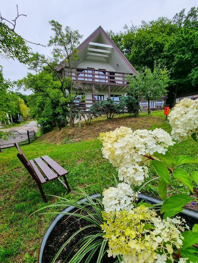 Kolonijna Park