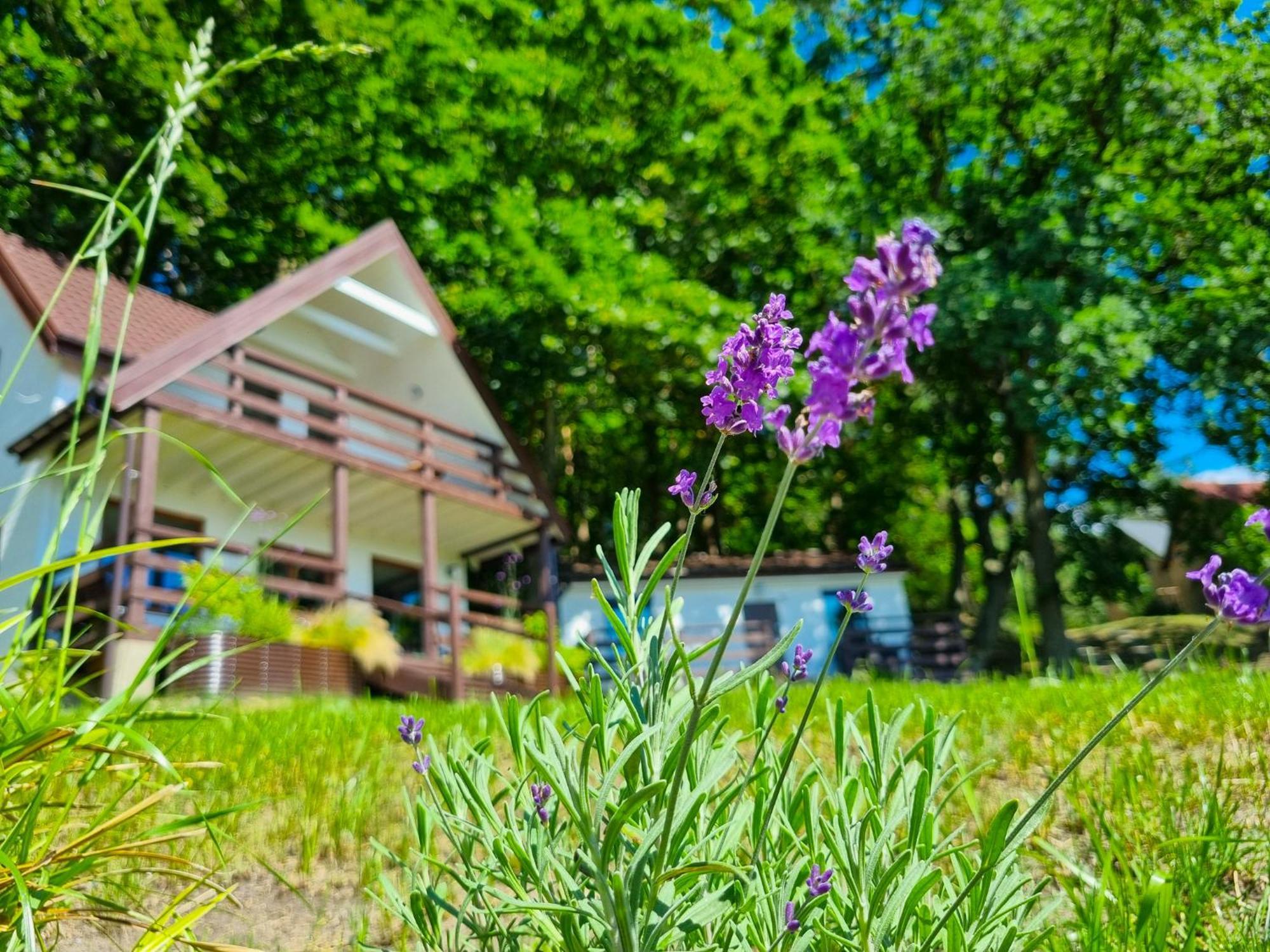 Kolonijna Park *